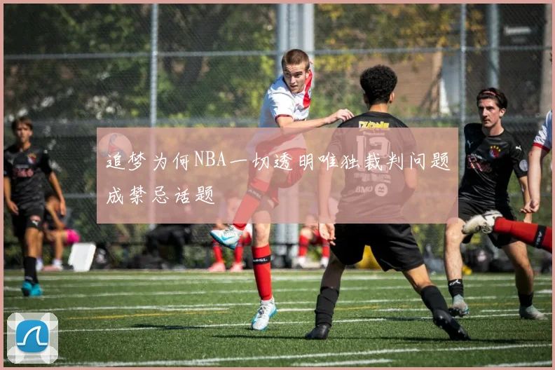 追梦为何NBA一切透明唯独裁判问题成禁忌话题