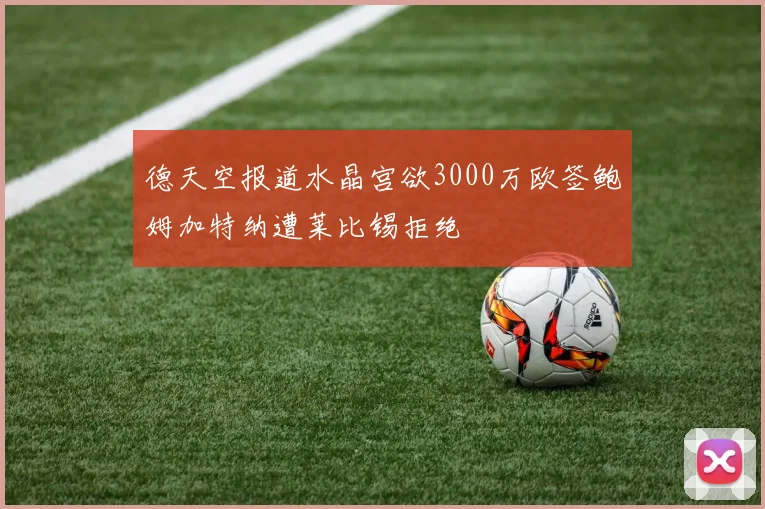 德天空报道水晶宫欲3000万欧签鲍姆加特纳遭莱比锡拒绝
